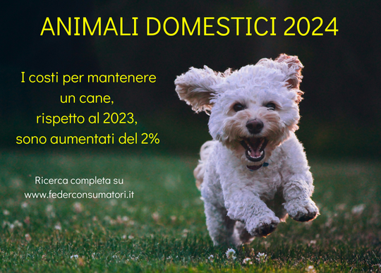 cane costi aumenti rispetto 2023.png